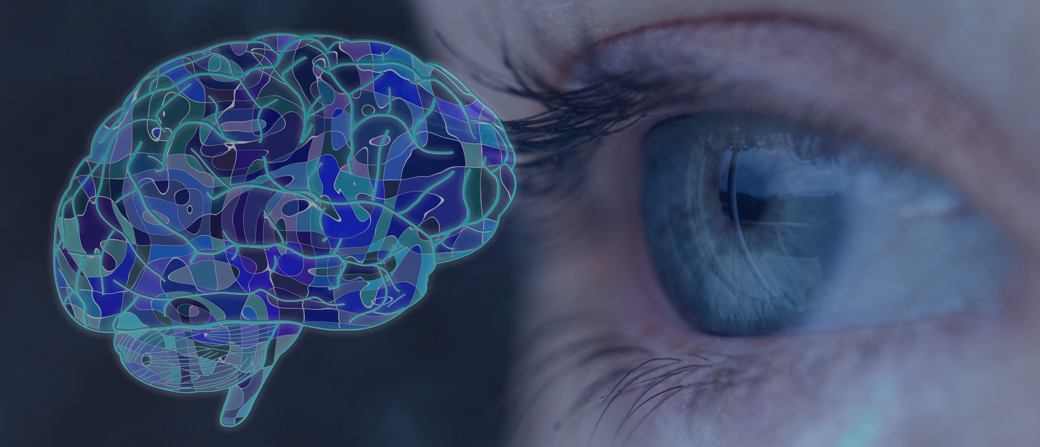 What Is Neuro-Ophthalmology? | Circle City Neuro-Ophthalmology